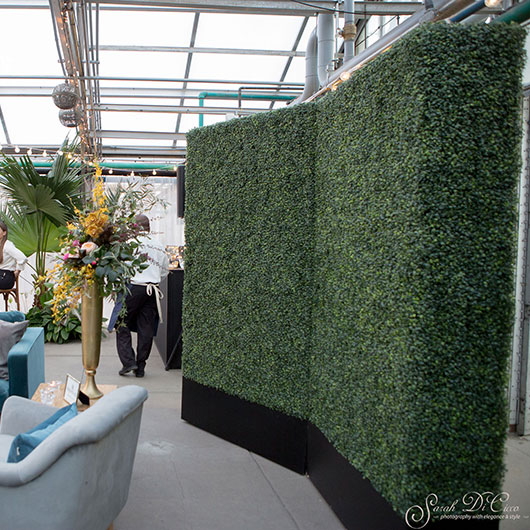 Tall Boxwood Wall Tall Boxwood Wall