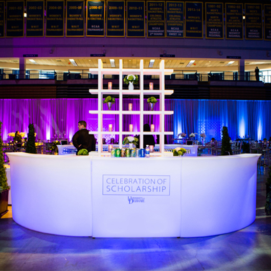 Straight Bar 47" Section