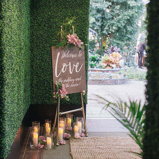 Tall Boxwood Wall Tall Boxwood Wall