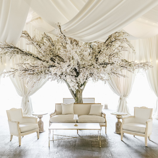 Capelette Sofa - Natural 70"