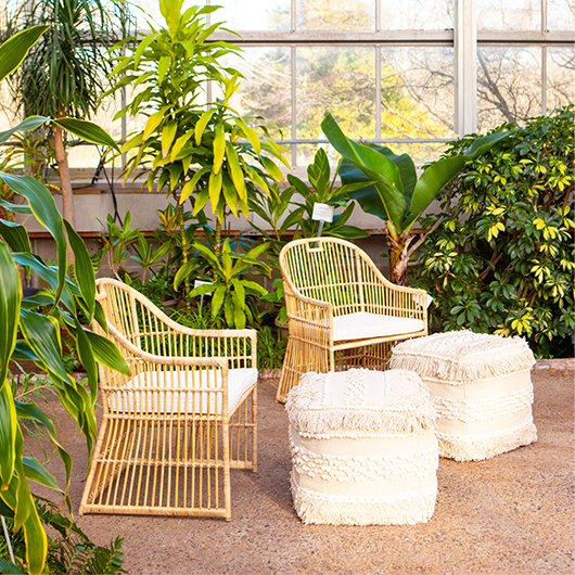 Windward Rattan Armchair