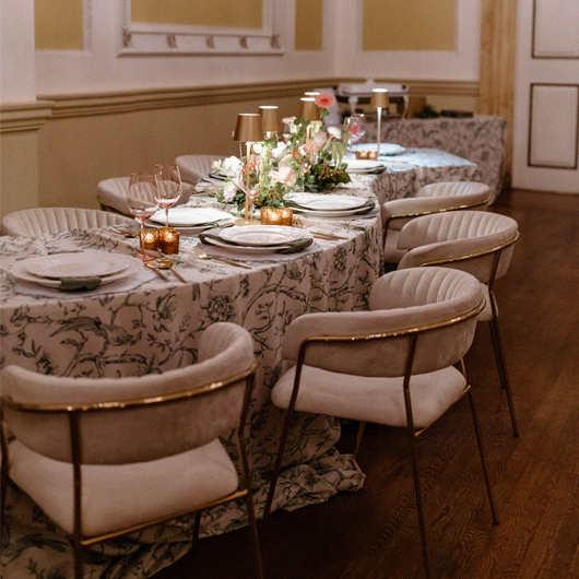 Venus Chair - Champagne Venus Chair - Champagne