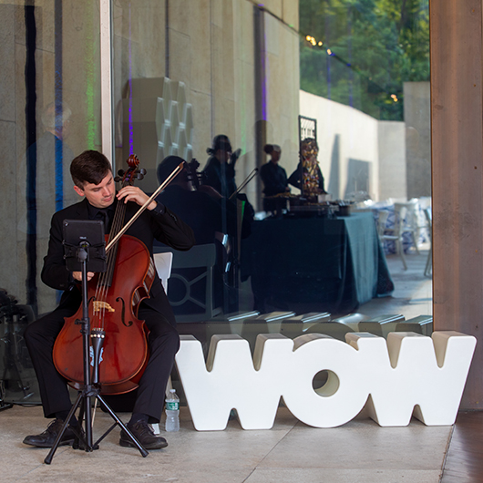 Wow Bench - White Wow Bench - White