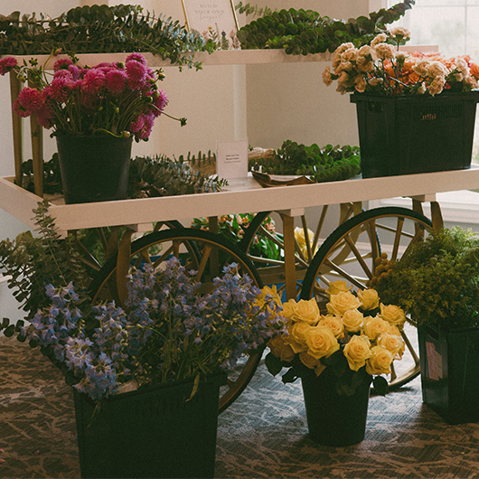 Bastille Cart With Shelf - White