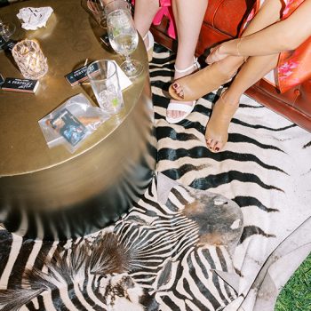 imgpsh_fullsize_anim (1)