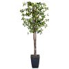 Fiddle Leaf Fig Tree 7' Fiddle Leaf Fig Tree 7'