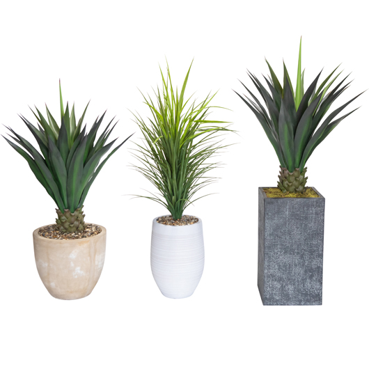 Fountain Grass 58" Fountain Grass 58"