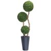 Topiary Boxwood Tree 7' Topiary Boxwood Tree 7'